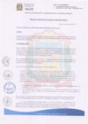 Vista preliminar de documento RESOLUCION DE ALCALDÍA N° 005-2025-MDS/A