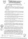 Vista preliminar de documento RGR0015-2025-GRDS