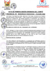 Vista preliminar de documento PRIMERA SESIÓN COPROSEC 2025