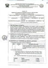 Vista preliminar de documento TDR N° 546