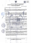 Vista preliminar de documento RGM-017-2025