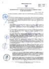 Vista preliminar de documento RGDUR-068-2025-MPHH