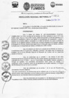 Vista preliminar de documento Resolución Regional Sectorial N° 111-2025