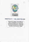 Vista preliminar de documento DIRECTIVA 001-2025/DRET-TES-ADM