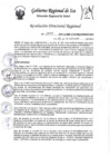 Vista preliminar de documento RDR-1999-2024
