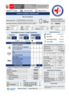 Vista preliminar de documento REPORTE GTGRD 26-02 TURNO DIA