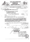 Vista preliminar de documento RIS GSRU