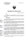 Vista preliminar de documento RD 050 2025 DG HEJCU corregido