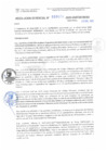 Vista preliminar de documento RG. 000025-2025-GSATDE