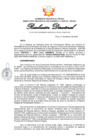 Vista preliminar de documento RD024-2025