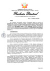 Vista preliminar de documento RD025-2025