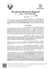 Vista preliminar de documento RDR Nº 0336-2025-GRSM-DRE