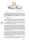 Vista preliminar de documento RD030-2025
