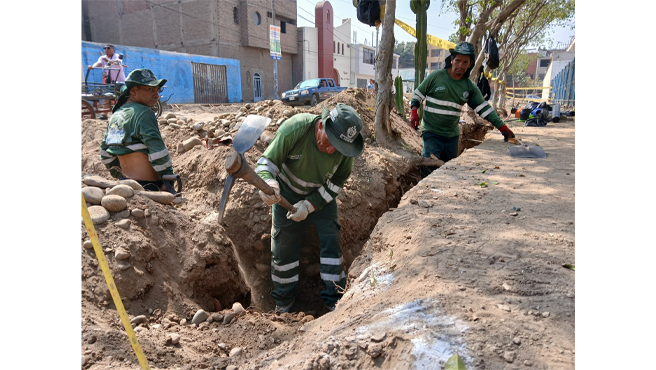 Nuestro equipo de la Gerencia de Desarrollo Ambiental está interviniendo en los parques Primavera y El Pino, en la Urb. La Primavera, asegurando espacios saludables y bien cuidados para todos nuestros vecinos.
¡Juntos seguimos mejorando nuestro distrito!