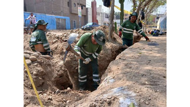 Nuestro equipo de la Gerencia de Desarrollo Ambiental está interviniendo en los parques Primavera y El Pino, en la Urb. La Primavera, asegurando espacios saludables y bien cuidados para todos nuestros vecinos. 
 ¡Juntos seguimos mejorando nuestro distrito! 