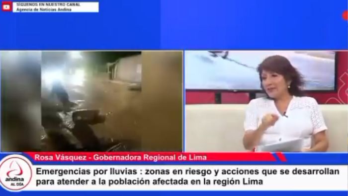 29 Nuevos puentes requiere la región Lima