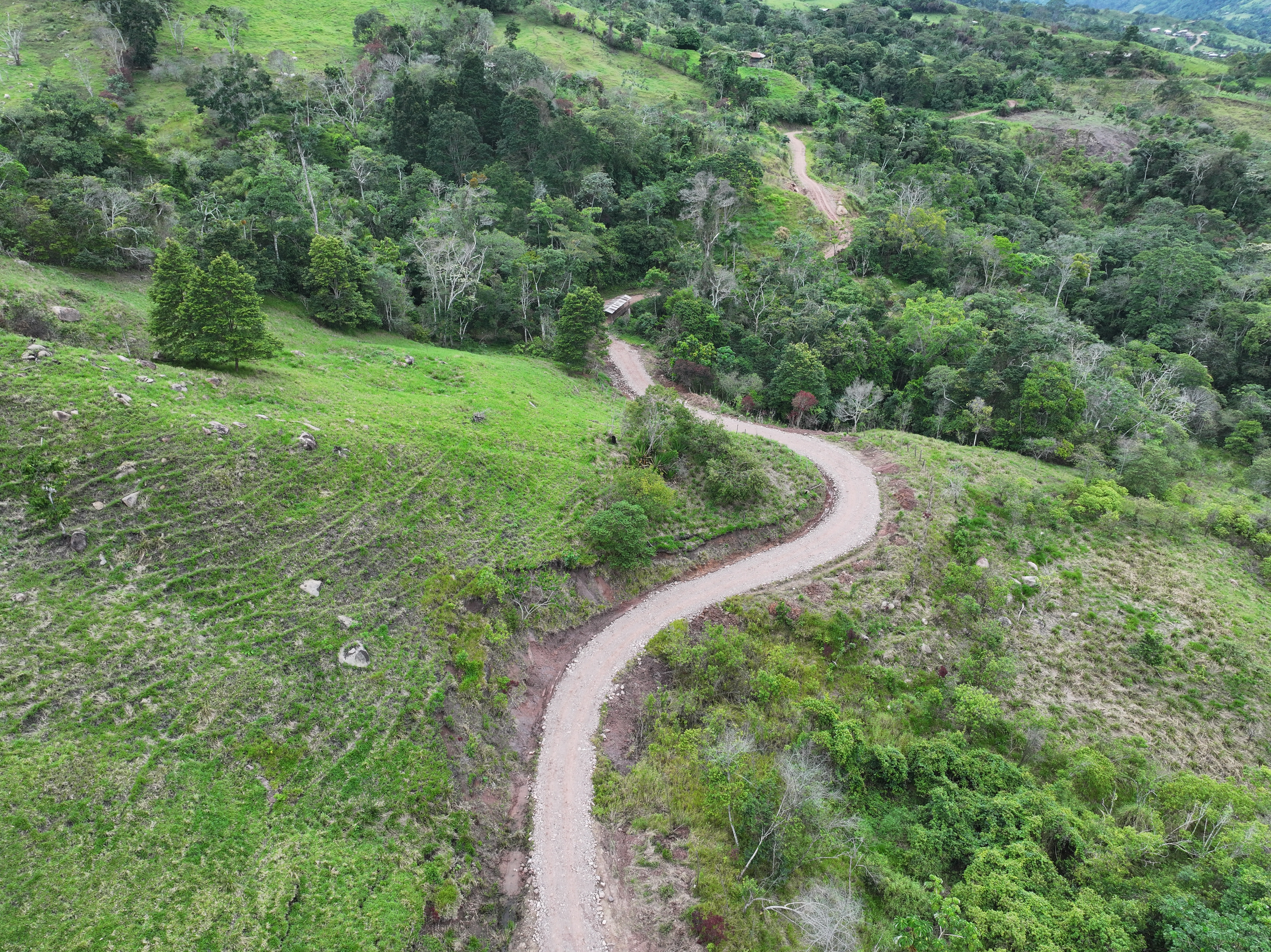 vía departamental que conecta Moyobamba y El Dorado
