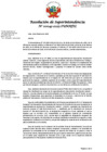Vista preliminar de documento RSI-043-2025-SUNAFIL
