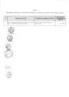 Vista preliminar de documento Anexo N° 147-2014-DV-PE