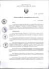 Vista preliminar de documento RPE Nº 061-2025 (1)
