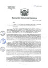 Vista preliminar de documento R.D.E. Nº032-2025-HNAL-OEA