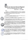 Vista preliminar de documento Resolución Gerencial General Regional