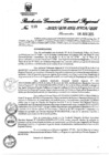 Vista preliminar de documento Resolución Gerencial General Regional