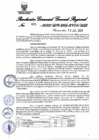 Vista preliminar de documento Resolución Gerencial General Regional