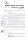 Vista preliminar de documento Resolución Gerencial General Regional