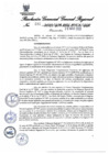 Vista preliminar de documento Resolución Gerencial General Regional