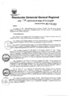 Vista preliminar de documento Resolución Gerencial General Regional
