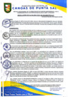 Vista preliminar de documento RESOLUCION DE ALCALDIA N° 301-08-2024-MDCPS-ALC
