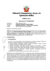 Vista preliminar de documento Resolución N° 010305942020