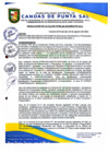 Vista preliminar de documento RESOLUCION DE ALCALDIA N° 295-08-2024-MDCPS-ALC