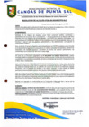 Vista preliminar de documento RESOLUCION DE ALCALDIA N° 294-08-2024-MDCPS-ALC
