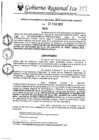 Vista preliminar de documento rgr-041-2025-gore-ica-graf