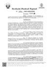 Vista preliminar de documento RDR Nº 0362-2025-GRSM-DRE