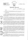 Vista preliminar de documento RD 140-2024-INO-D