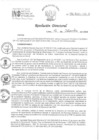Vista preliminar de documento RD 132-2024-INO-D