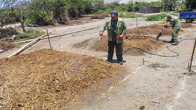 Transformamos restos orgánicos en abono