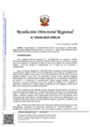 Vista preliminar de documento RDR 0328-2025-DRELM