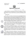 Vista preliminar de documento R.D. N°09-2025-HNHU-DG 