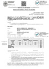 Vista preliminar de documento RGDU 132-2024