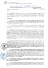Vista preliminar de documento RG. 000099-2025-GSATDE