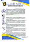 Vista preliminar de documento RESOLUCION DE ALCALDIA N° 277-07-2024-MDCPS-ALC