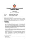 Vista preliminar de documento Resolución N° 010306252020