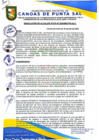 Vista preliminar de documento RESOLUCION DE ALCALDIA N° 276-07-2024-MDCPS-ALC