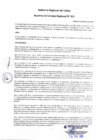 Vista preliminar de documento Acuerdo del Consejo Regional N° 011-2025