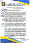 Vista preliminar de documento RESOLUCION DE ALCALDIA N° 274-07-2024-MDCPS-ALC