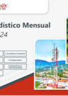 Vista preliminar de documento Boletin Estadistico Mensual - Diciembre 2024